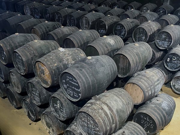 Из Кордовы — на винодельню Toro Albalá со 100-летней историей - фото 2