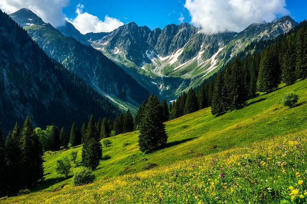 Фото - экскурсия: Джип-тур Абхазия: Гагра, Мандариновый сад, о. Рица и Гегский водопад!