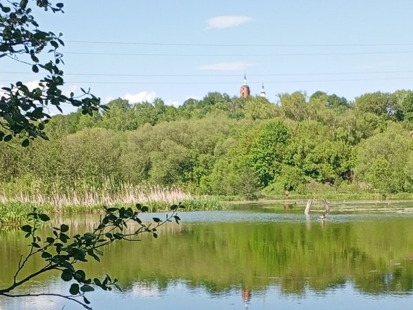 Сосновый бор, море и монастырь — для тех, кто устал от цивилизации - фото 1