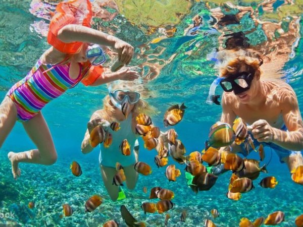 Подводный мир Нячанга: погружение с аквалангом - фото 3