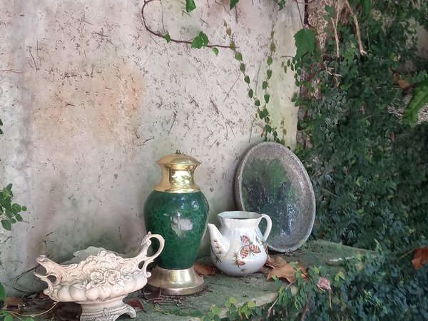 В краю магнолий. Прогулка по паркам, скверам и садам Сочи - фото 4
