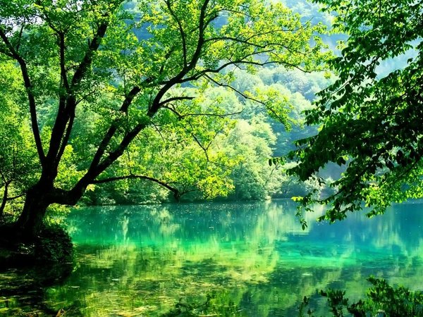 Незабываемая Верхняя Балкария: из Железноводска в сердце Кавказа - фото 4