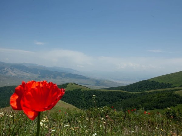 Цветущие горы Самарканда - фото 1