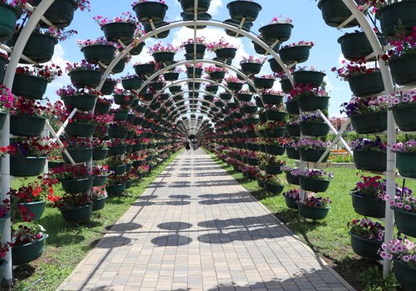 Экскурсия по Грозному: достопримечательности города за один день - фото 1