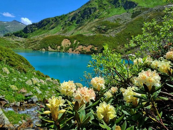 В горы — от суеты и забот: треккинг в Архызе без рюкзаков - фото 3