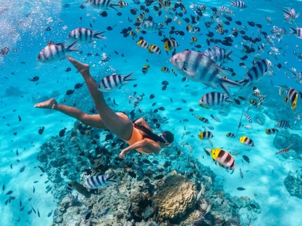 На катамаране по островам Пхукета (тайский буфет включён) - фото 4