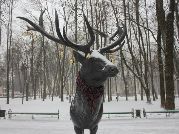Смоленск — город удивительных историй - фото 4