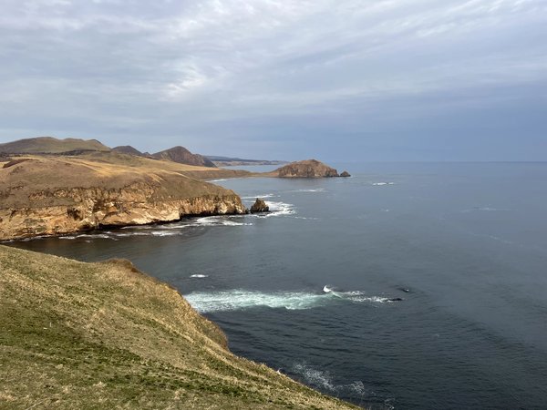 Путешествие на джипе к 3 мысам Сахалина: Виндис, Кузнецова, Крильон - фото 2