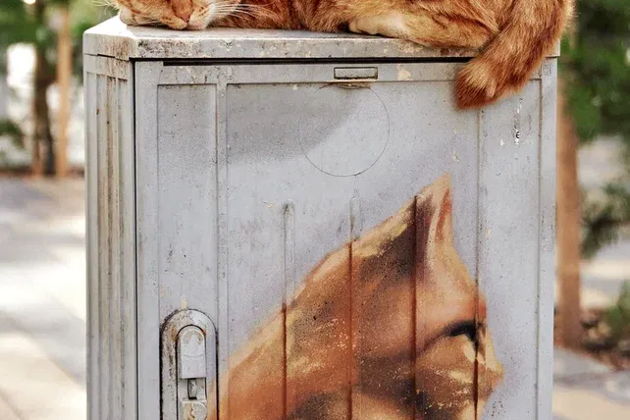 Фото экскурсии - Экскурсия на Куршскую косу с посещением Высоты Эфа и Танцующего леса, а также Зеленоградска с дегустацией - 11