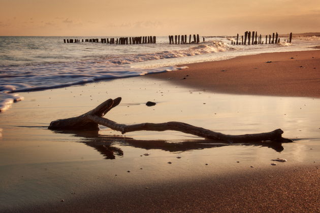 Фото экскурсии - Экскурсия на Куршскую косу с посещением Высоты Эфа и Танцующего леса, а также Зеленоградска с дегустацией - 13