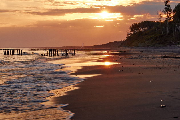 Фото экскурсии - Экскурсия на Куршскую косу с посещением Высоты Эфа и Танцующего леса, а также Зеленоградска с дегустацией - 15