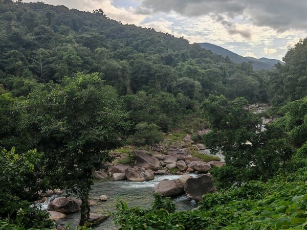 Едем в Kong Forest — парк активностей в Нячанге - фото 4