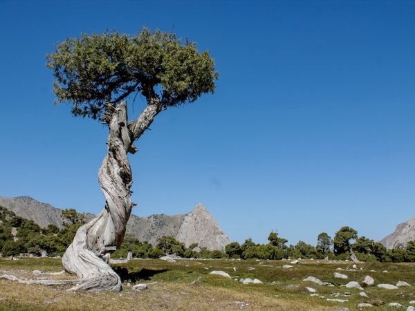 Из Самарканда — к семи озёрам Фанских гор - фото 3