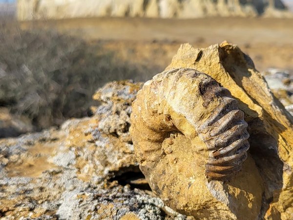 5 чудес Мангистау за 1 день - фото 3