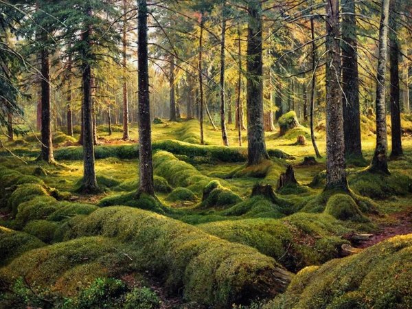 Экскурсия по Белорусской Третьяковке - фото 2