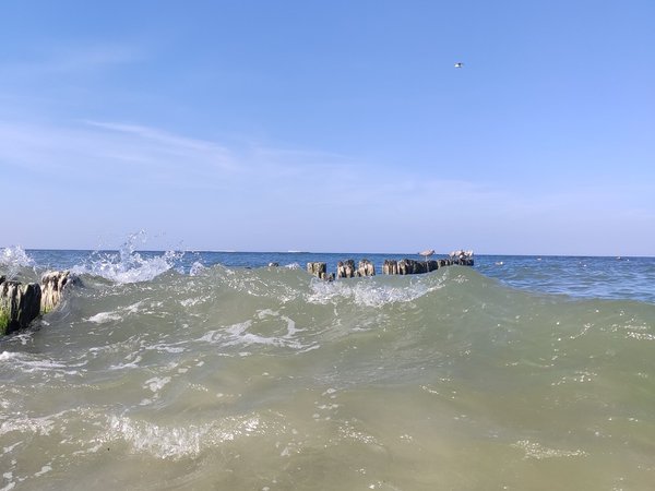 В царство дюн, моря и птиц на Куршской косе — из Калининграда - фото 4