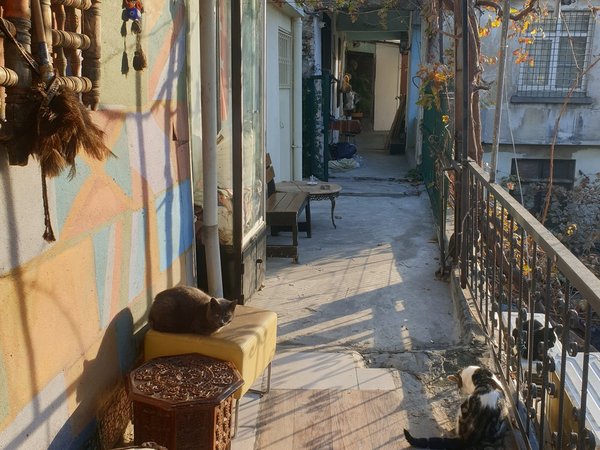 Из прошлого в настоящее: османские гостиницы Стамбула - фото 2