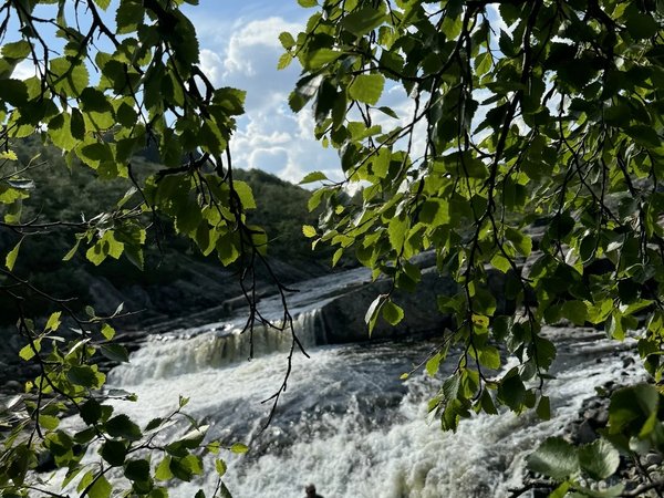 Из Мурманска — к водопадам Кольского Севера - фото 4