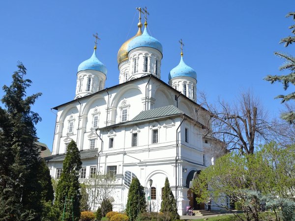 Крутицкое подворье и Новоспасский монастырь - фото 2