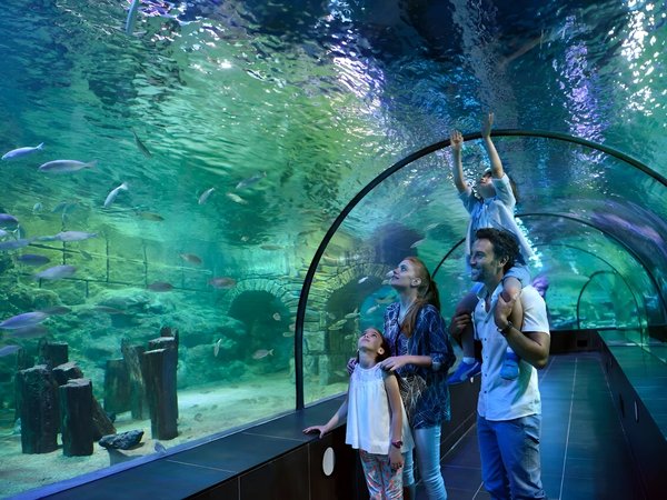 В гости к акулам и скатам: поездка в Istanbul Aquarium (трансфер и билеты включены) - фото 1