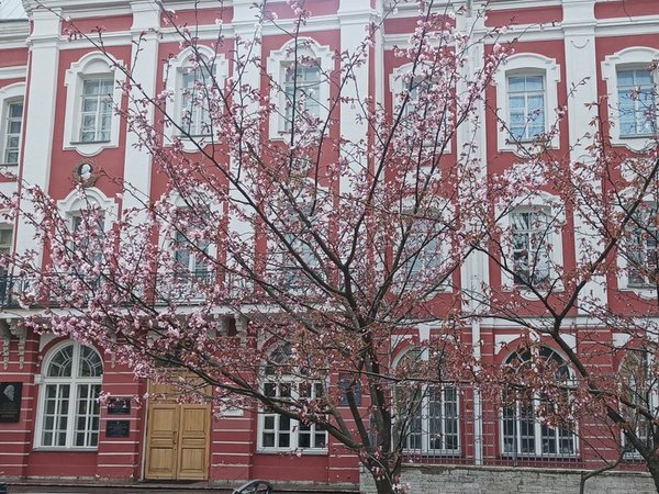Грани Васильевского: дорогами островитян - фото 3