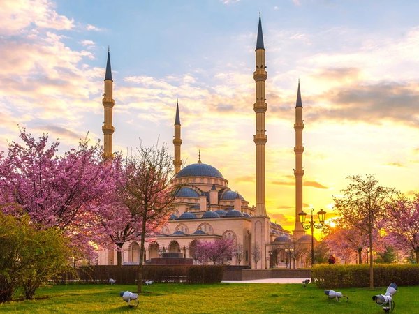 Из Владикавказа — в Грозный, сердце Чечни - фото 1