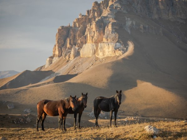 Ущелья Кабардино-Балкарии (из Ессентуков) - фото 3