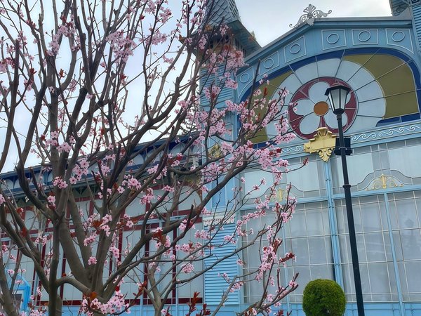 Знакомство с курортным городом Пятигорском - фото 2