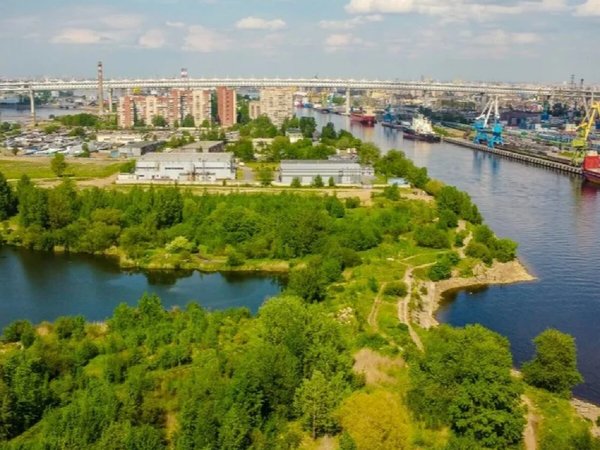 Канонерская коса: мини-экспедиция к лучшим морским пейзажам - фото 4