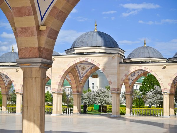 Путешествие из Владикавказа в Грозный - фото 3