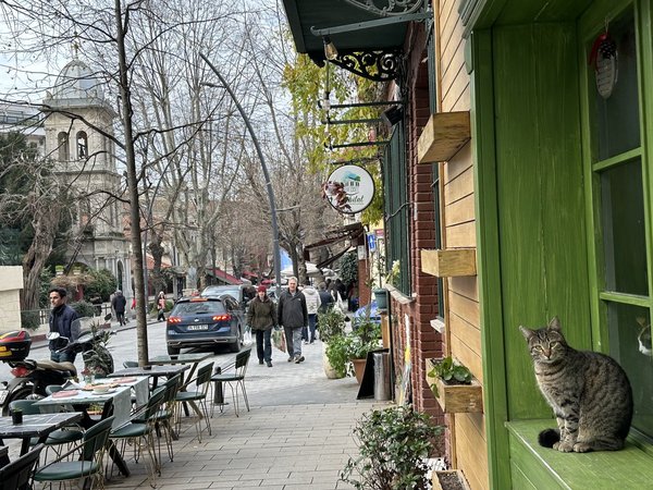 Трио Стамбула: Старый Город, Босфор и Ускюдар - фото 4