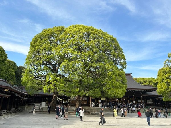 Шесть лиц и три сердца Токио - фото 3