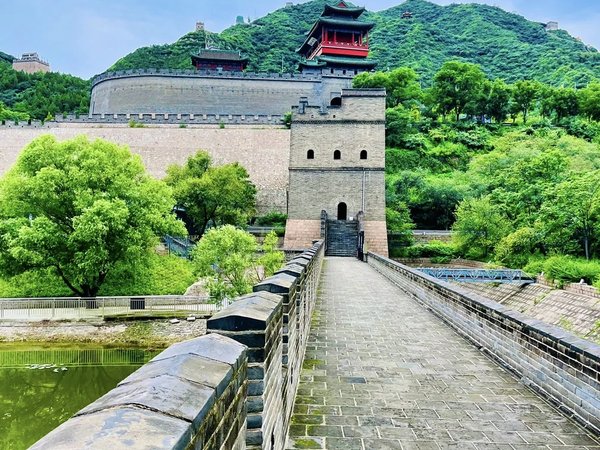 Исторические и культурные символы Поднебесной - фото 4
