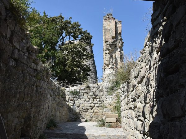 История, архитектура и винные традиции Кахетии - фото 4