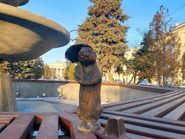 Волжский: фотоохота на сусликов - фото 1