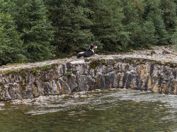 Горная Аджария: водопады, ущелья и грузинское гостеприимство