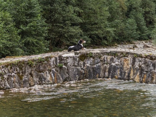 Горная Аджария: водопады, ущелья и грузинское гостеприимство - фото 1