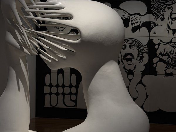 Музей MALBA: понять искусство Латинской Америки (билеты включены) - фото 4