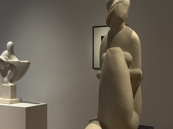 Музей MALBA: понять искусство Латинской Америки (билеты включены) - фото 2