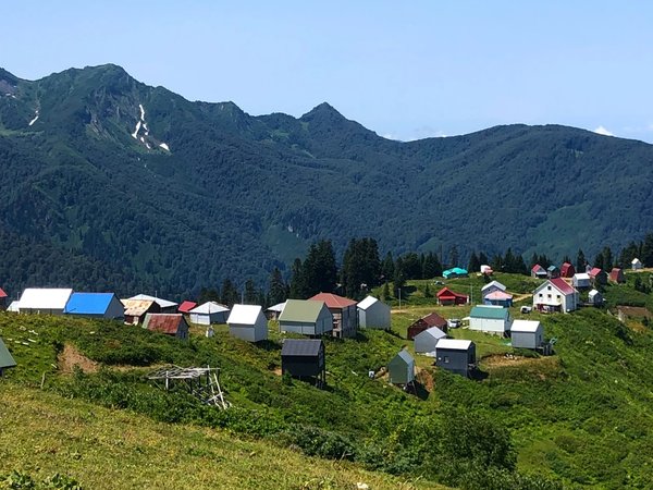 Горная Аджария — из Батуми - фото 1