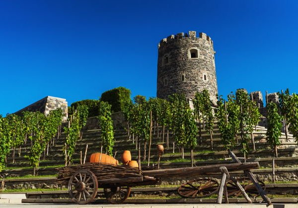 Пещерный город Вардзия, самобытный Рабат и минеральный Боржоми! - фото 3