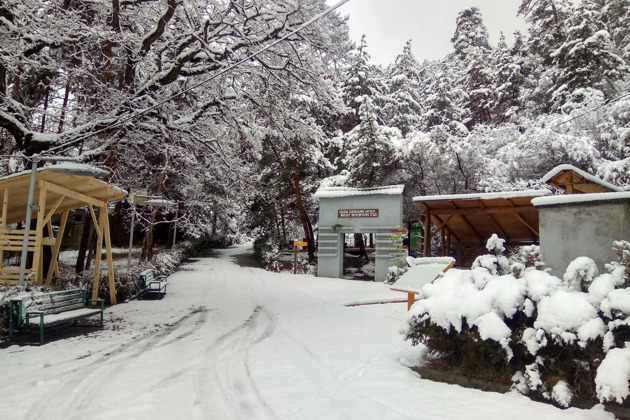 Фото - экскурсия: Вардзия с пещерами, уникальный Рабат и целебный Боржоми