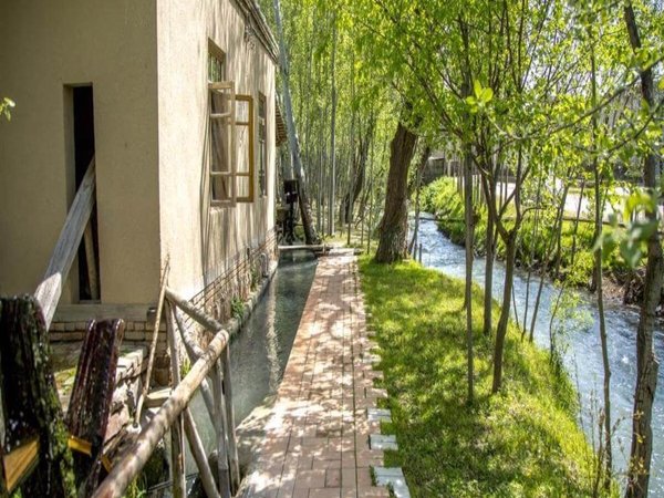 Самарканд для детей: увлекательный, сказочный, вкусный - фото 3