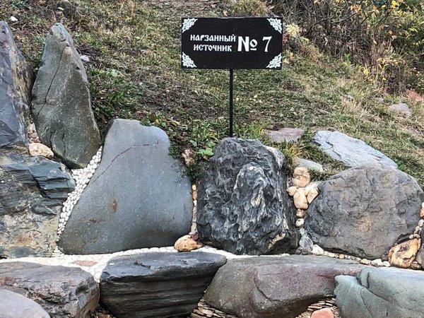 Деревня альпак и Долина нарзанов: душевное семейное путешествие из Железноводска - фото 2