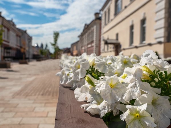 Тула на одном вдохе: от самоваров до современных брендов - фото 4
