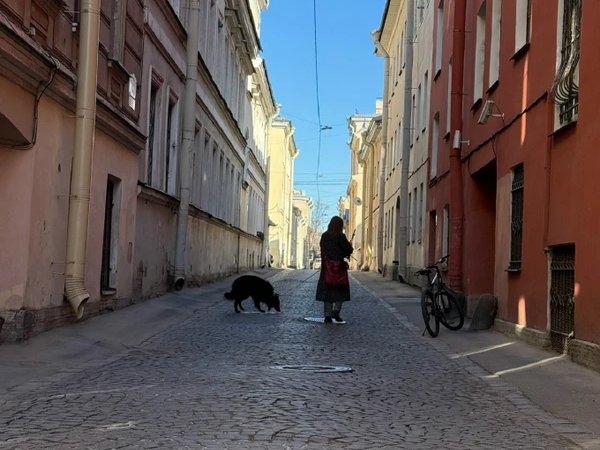 По Васильевскому с островитянином!