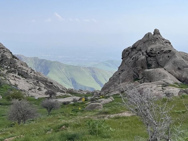 Дорога сквозь историю: однодневная поездка из Бухары в Самарканд - фото 2