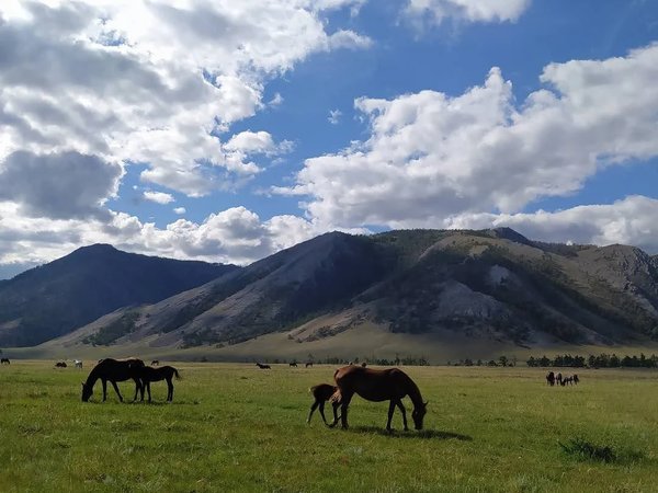 Тур на Байкал с фотографом: лучшие локации для снимков в Листвянке и бухте Песчаная - фото 4