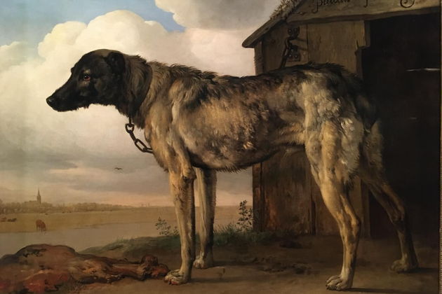 Фото экскурсии - Погружение в исключительную коллекцию Эрмитажа - 14