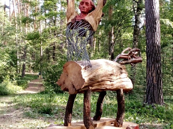Добро пожаловать в Солотчу! Автопутешествие из Рязани - фото 3